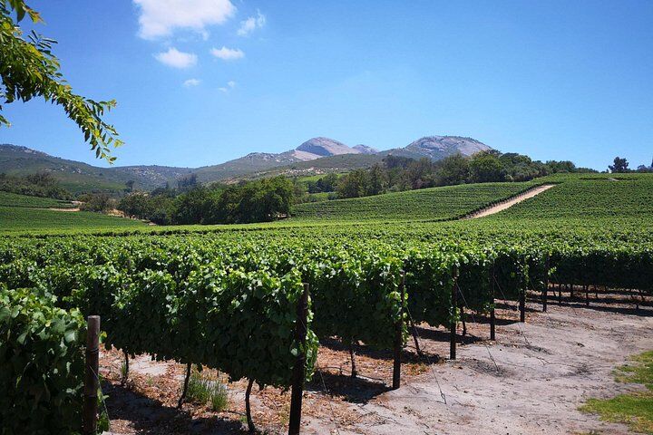 Best Things To Do in Franschhoek: Franschhoek Wine Tram & Huguenot Memorial Museum 18 Private Stellenbosch, Franschhoek Paarl Wine Tour from Cape Town