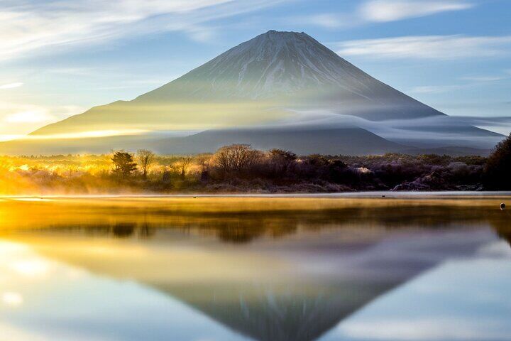 Private Tour to Mt. Fuji and Hakone (Fully Licensed Operator)