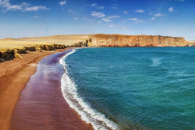 Private Tour to Paracas Reserve