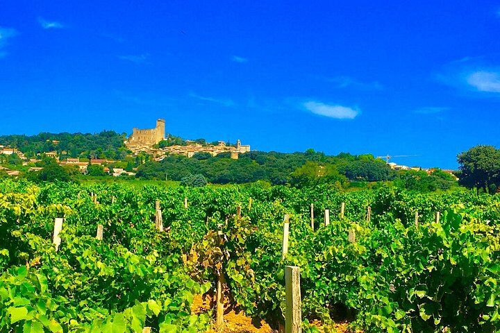 Meilleurs tours et expériences à Avignon France 19 Provence Cru Wine Small-Group Half-Day Tour from Avignon