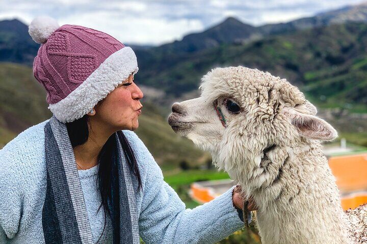 Best Things To Do in Quito: Middle of the World Monument & Otavalo Market Day Trips (2026) 15 Quilotoa Lagoon Full-Day Tour from Quito with Entrance Fees daily