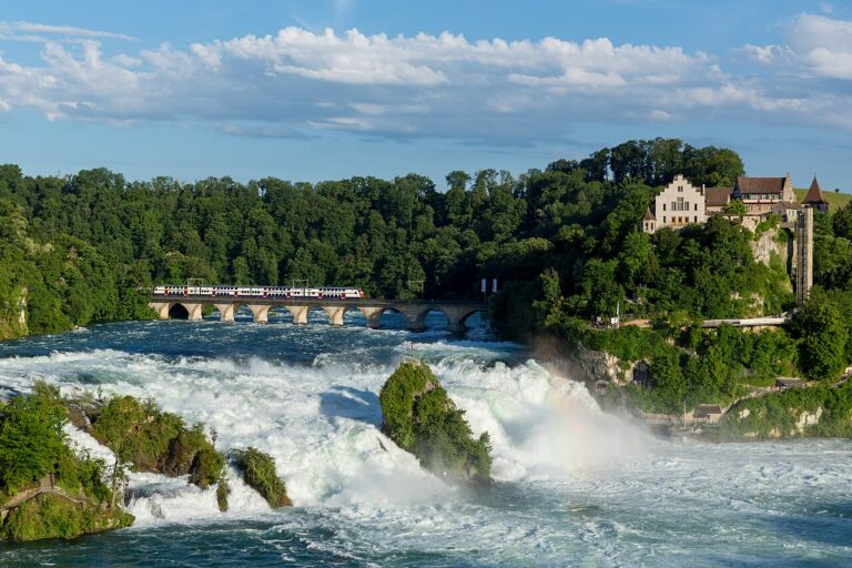 rhine falls switzerland 221