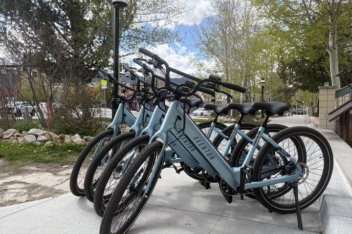 Migliori tour ed esperienze a Breckenridge Colorado 19 Ridden- Fall Foliage E-Bike Rentals Breckenridge To Frisco