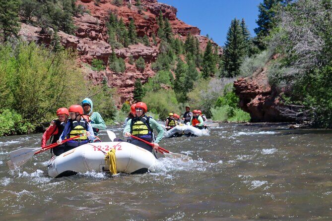 San Miguel River Half Day Rafting Adventure - Telluride Colorado