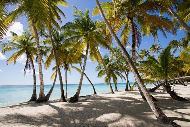 Saona Island Day Trip from Punta Cana