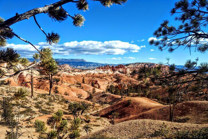 Die besten Touren und Erlebnisse in Bryce Canyon City, Utah 11 Scenic Tour of Bryce Canyon