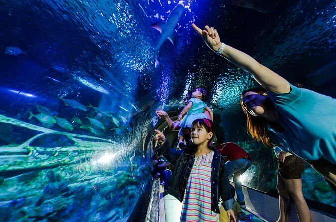 SEA LIFE Aquarium Arizona - Phoenix Arizona