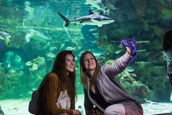 Mejores tours y experiencias en Brighton England 13 SEA LIFE Brighton Admission Ticket