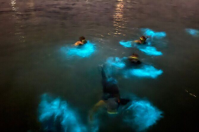 Seafarer Adventurers Grand Cayman Bioluminous Tour