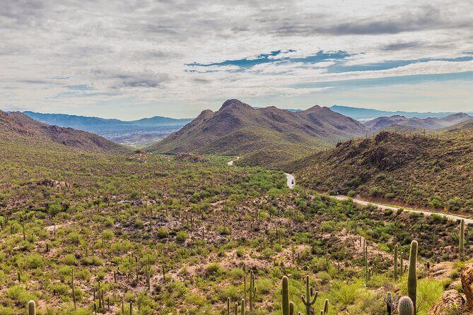 Self Guided Saguaro National Park Driving Tour
