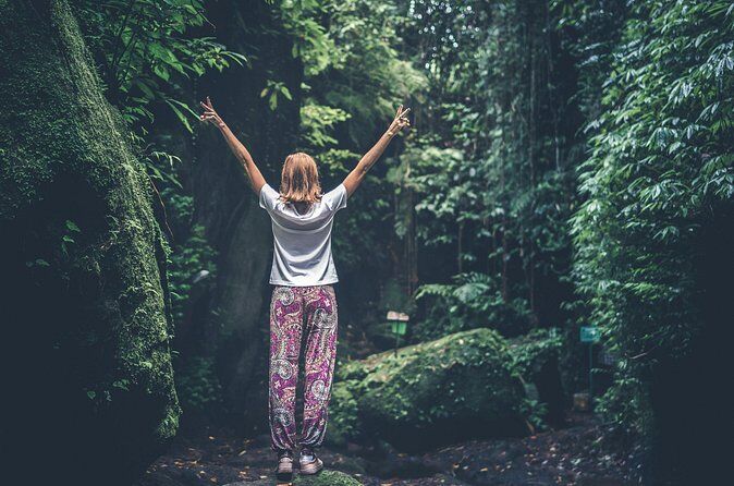 Serene Forest Therapy Experience on Bainbridge Island - Bainbridge Island Washington