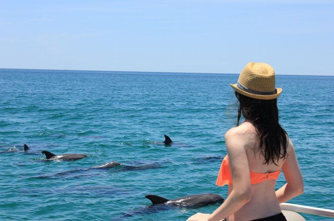 Shell Island Dolphin and Snorkel Boat Tour - Panama City Beach Florida