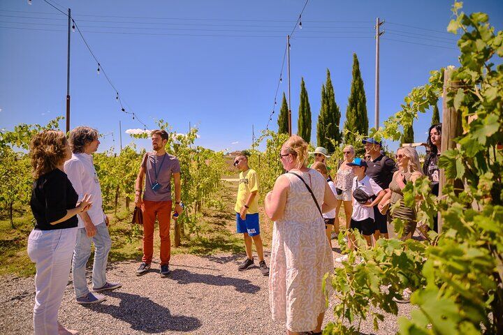 Siena, San Gimignano and Chianti Wines Day Tour from Florence