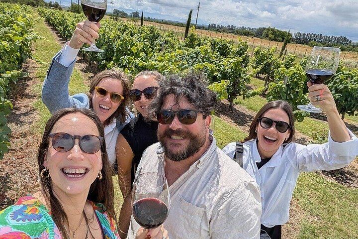 Best Things To Do in Colonia del Sacramento: Barrio Historico & Colonia Lighthouse 15 Silex Tours : Wine, History and Culture in Colonia del Sacramento