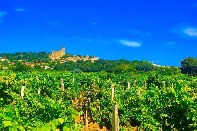 Meilleurs tours et expériences à Avignon France 27 Small Group Half Day Best Cru of Provence Wine Tour from Avignon - Avignon France