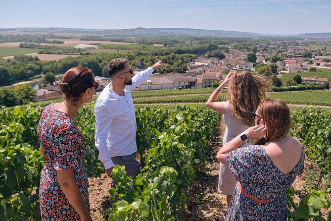 Small Group Tour Champagne Wine Tasting Departing from Epernay - Epernay France