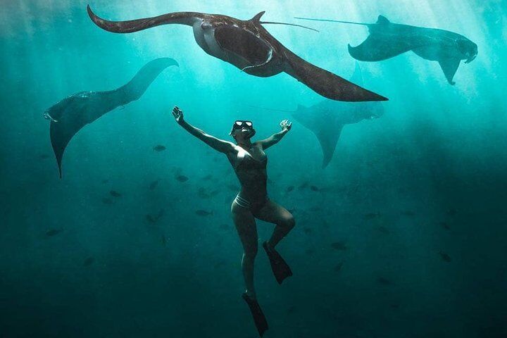 Best Things To Do in Nusa Penida: Kelingking Beach & Angel's Billabong and Broken Beach 16 Snorkeling Manta Ray Safari in Nusa Penida