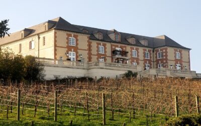 Sonoma Wine Tasting: A Guide to California’s Laid-Back Wine Country
