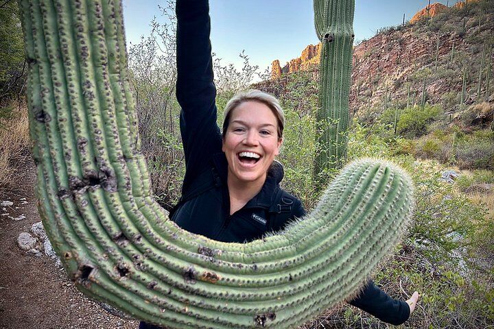 애리조나주 투손 최고의 투어 & 체험 12 Sonoran Desert Nature Guided Hiking Tour in Tucson Arizona