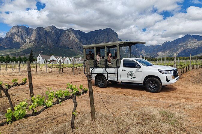 ステレンボッシュのおすすめツアー&体験 16 Stellenbosch Wine Tour with Open Safari Style Vehicle