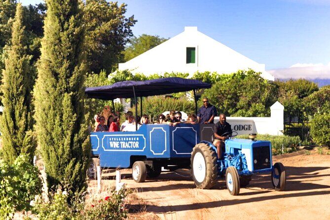 ステレンボッシュのおすすめツアー&体験 18 Stellenbosch Wine Tractor Hop on Hop Off Wine Tasting Tour