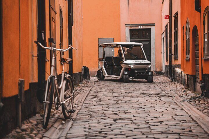 Stockholm Travel Guide: Old Town, Archipelago & Museums (2026) 13 Stockholm Private Golf Cart Tours