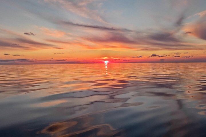 Sunset Dolphin Watching Boat Tour from Vrsar