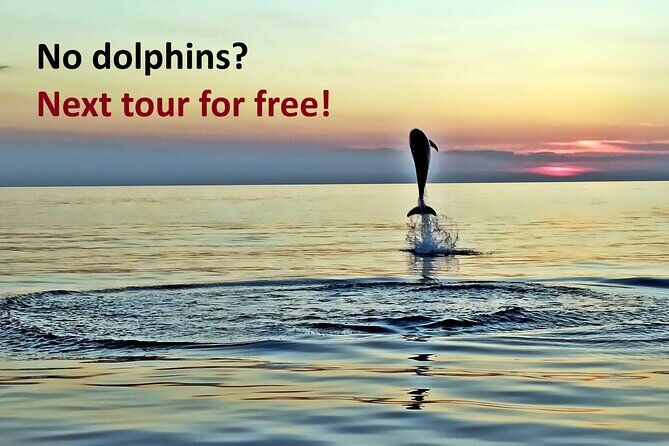 Sunset Dolphin Watching with Drinks in Rovinj - Rovinj Croatia