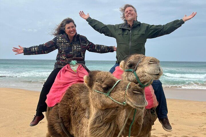 Best Tours & Experiences in Tangier 15 Tangier Private Day Tour From Tarifa Including Ferry & Camel Ride