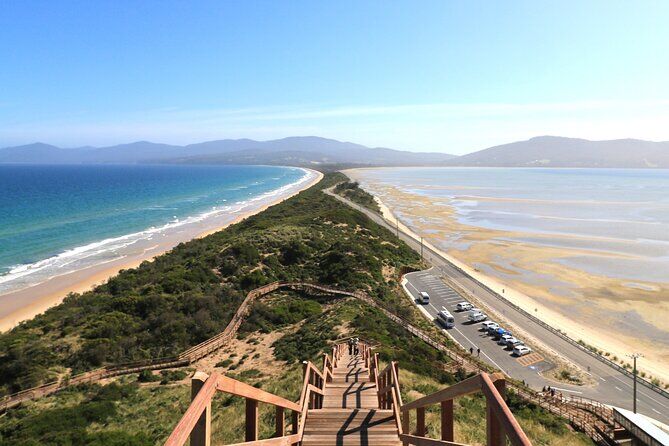 호바트 추천 투어 & 체험 16 Tasmania Bruny Island Escapes from Hobart
