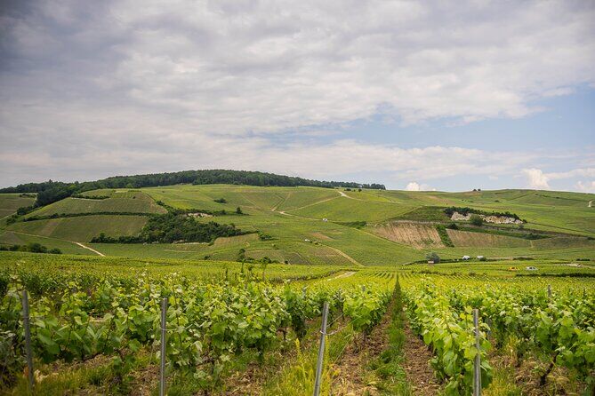 The Heart of the Champagne Region with Vintage Van - Epernay France
