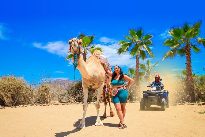 Top Three Tours in Cabo Camels Atv and Eco Farm in One Day