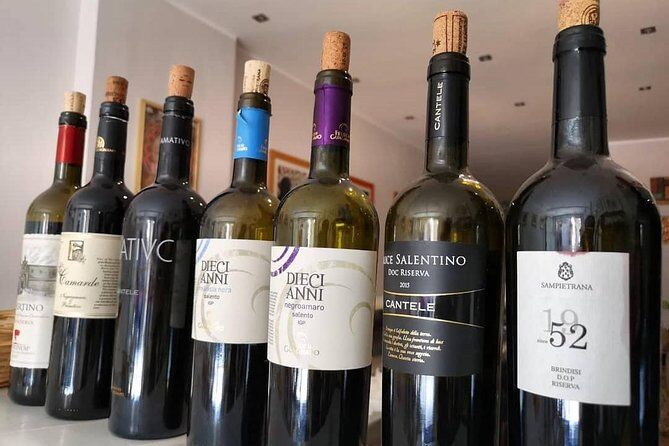 이탈리아 레체 최고의 투어 & 체험 31 Top Wine Experience in Lecce - Lecce Italy
