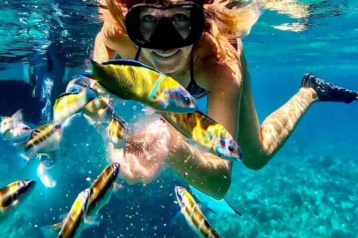 Best Tours & Experiences in Tropea Calabria Italy 17 Tropea & Capo Vaticano Boat Tour with Snorkeling. Up to 12 Guests