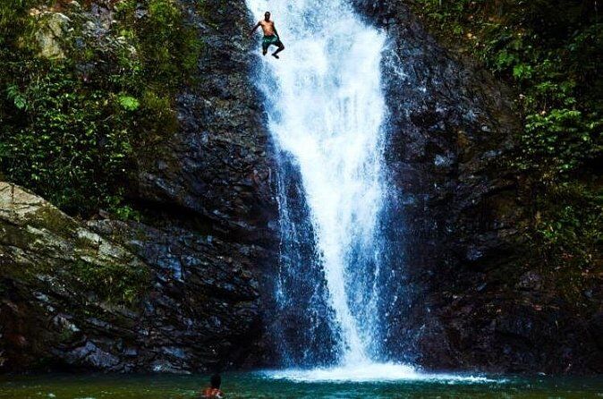 Tropical Rainforest Waterfall Day Tour