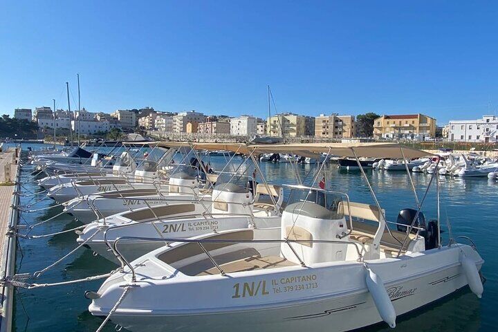Best Tours & Experiences in Vieste Gargano Italy 15 Vieste Boat rental without nautical license