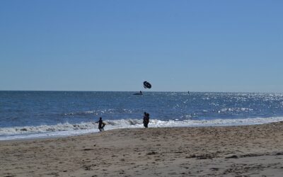 Virginia Beach Travel Guide: Best Tours, Sights and How to Plan Your Trip