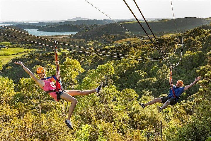 Best Things To Do in Waiheke Island: Vineyard Tours & Oneroa Beach 14 Waiheke Island: Zipline And Forest Walk