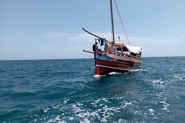 Wasini Dolphin Spotting Tour