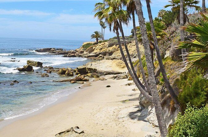 Whale Watching and Orange Beach Day Trip from Anaheim - Anaheim California