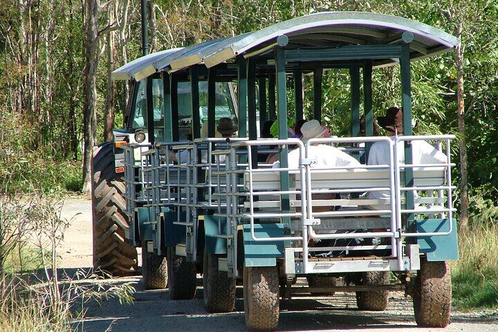 Best Tours & Experiences in Airlie Beach 15 Whitsunday Crocodile Safari
