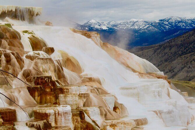 Yellowstone Two Day Overnight Tour - Cody Yellowstone Wyoming